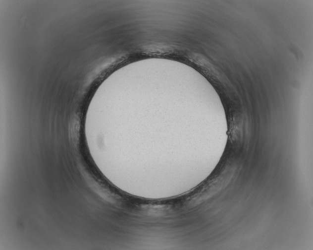 X0000113240448200910081301