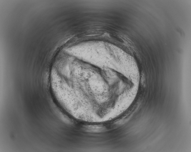X0000113240449200910081301