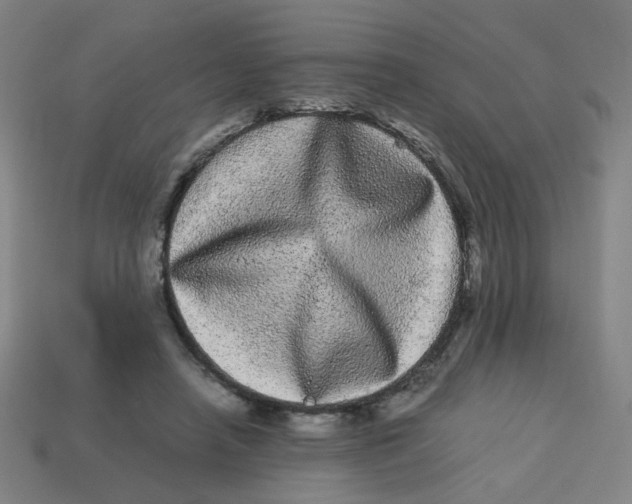 X0000113240450200910081301