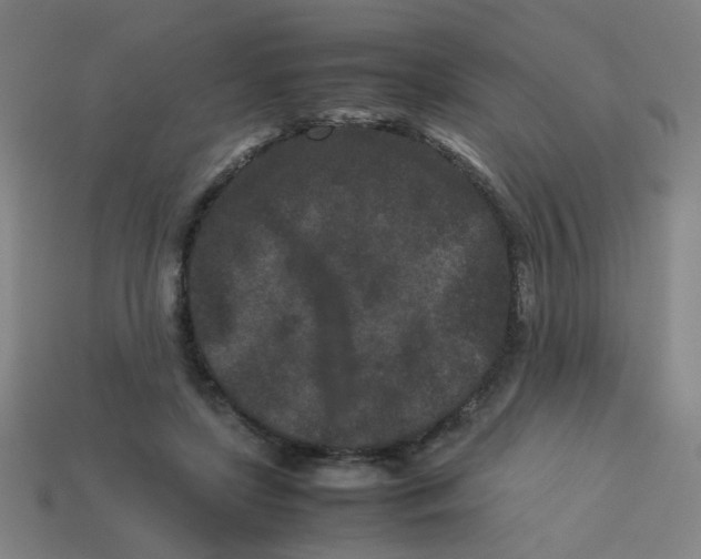 X0000113240451200910081301