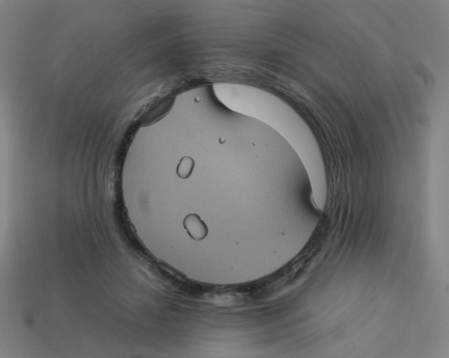 X0000113240452200910081301