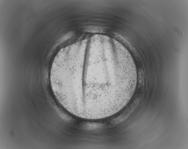 X0000113240453200910081301