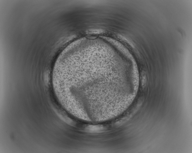 X0000113240455200910081301