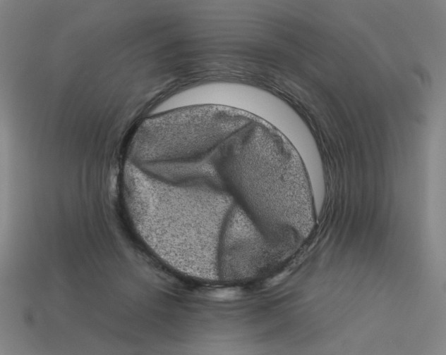 X0000113240456200910081301