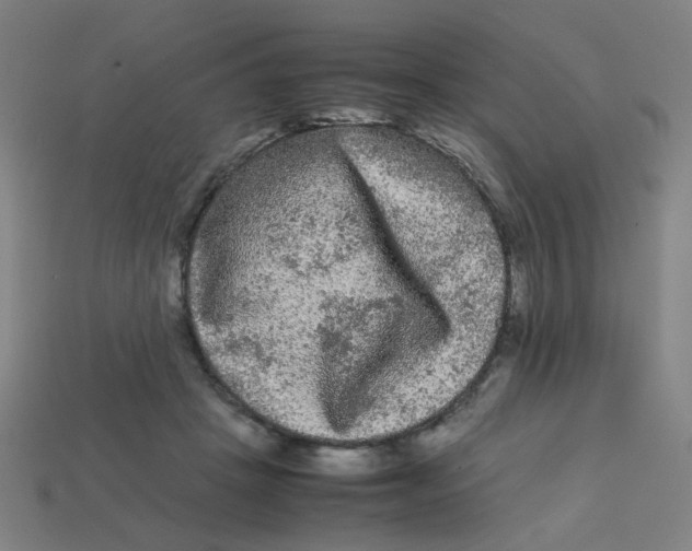 X0000113240457200910081301