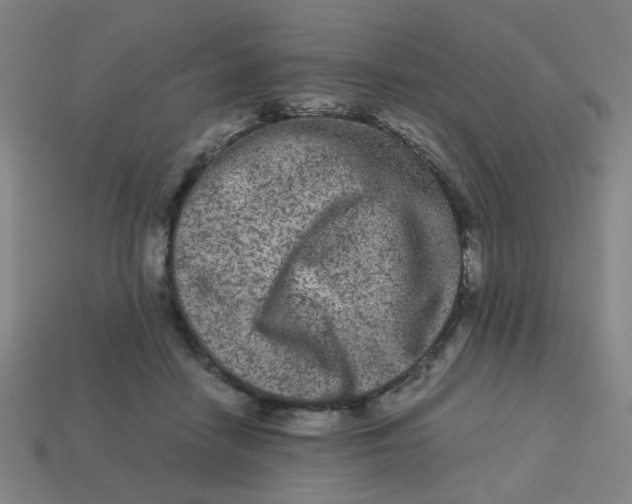 X0000113240458200910081301