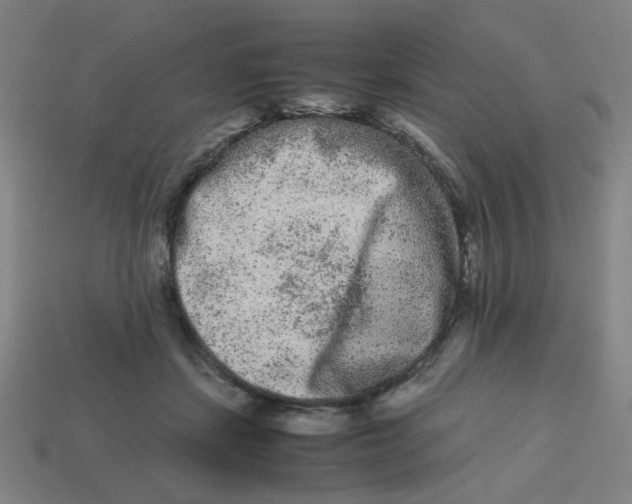 X0000113240459200910081301