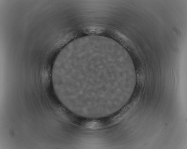 X0000113240460200910081301