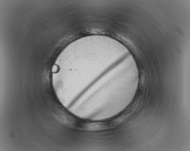 X0000113240461200910081301