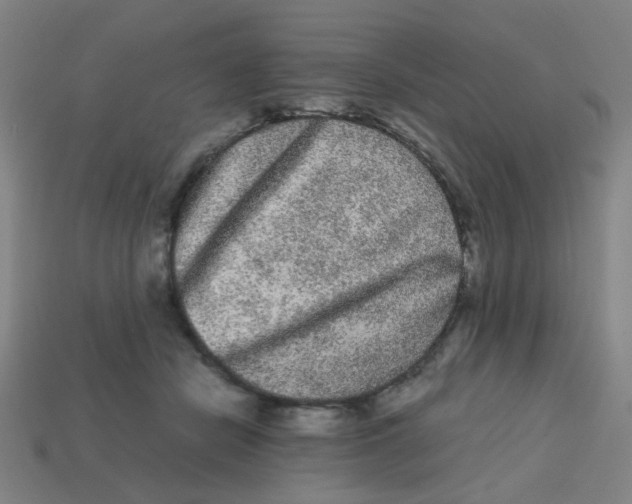X0000113240462200910081301