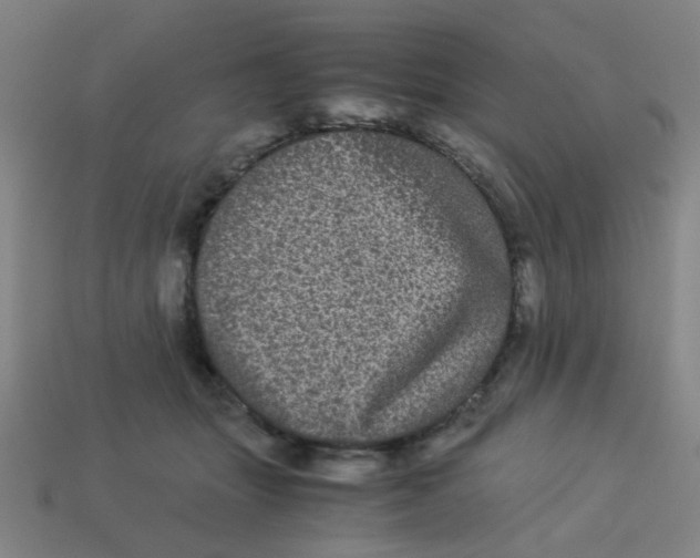X0000113240463200910081301