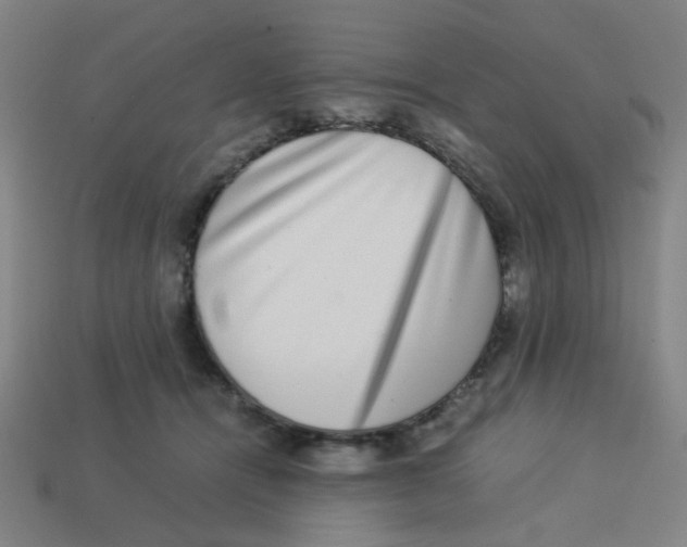 X0000113240464200910081301
