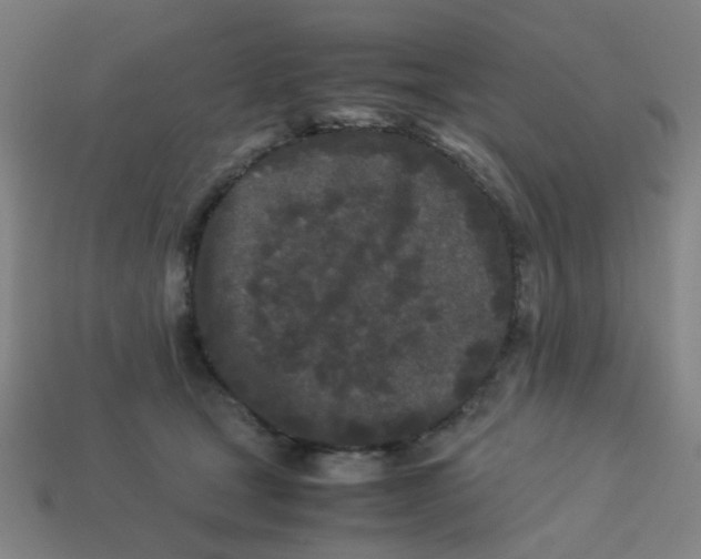 X0000113240465200910081301