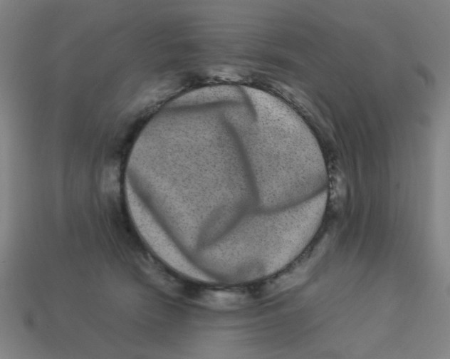 X0000113240466200910081301