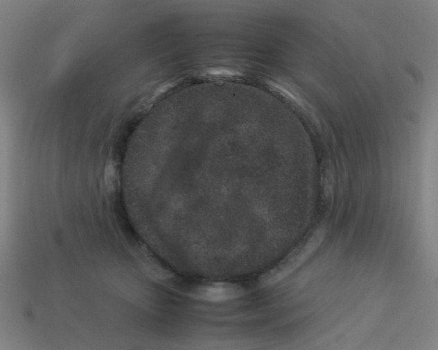 X0000113240467200910081301