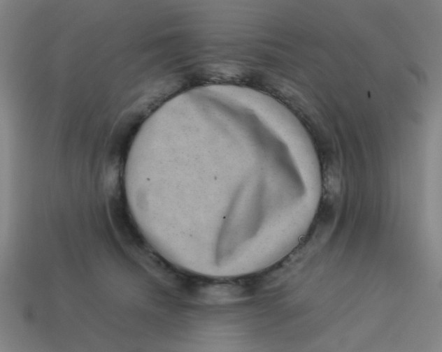 X0000113240468200910081301