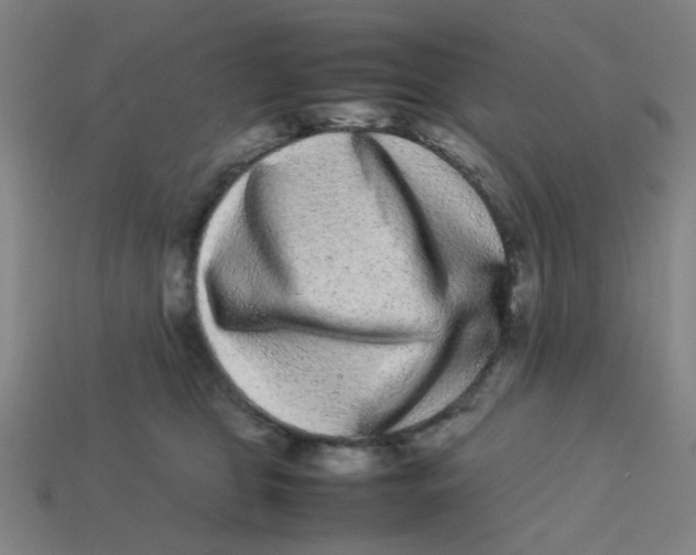 X0000113240469200910081301