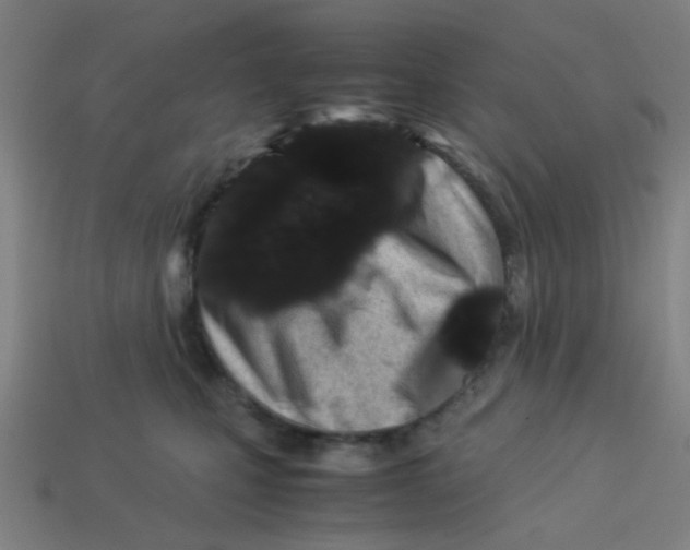 X0000113240471200910081301