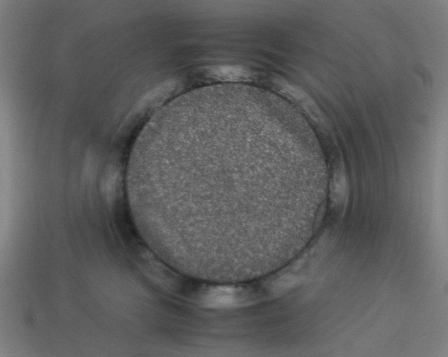 X0000113240473200910081301