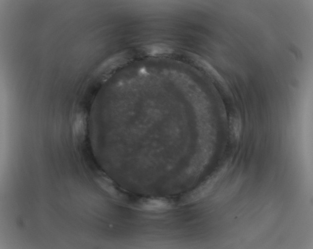 X0000113240475200910081301