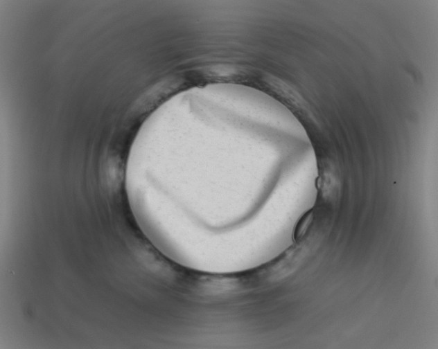 X0000113240476200910081301