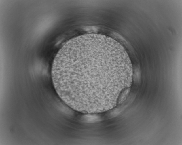 X0000113240477200910081301