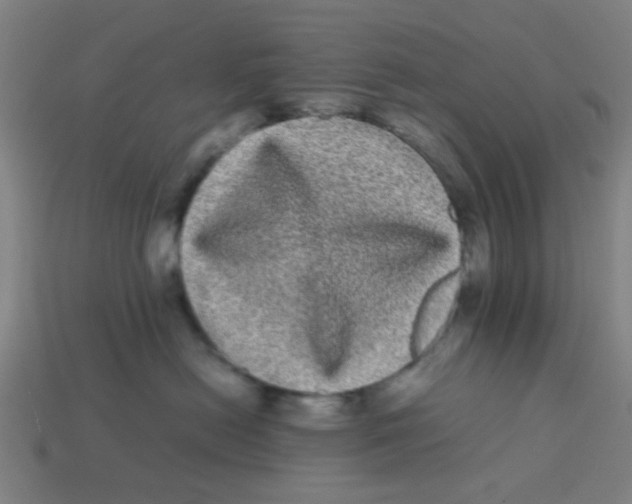 X0000113240478200910081301