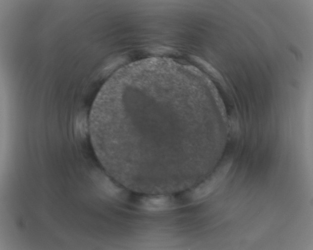 X0000113240479200910081301