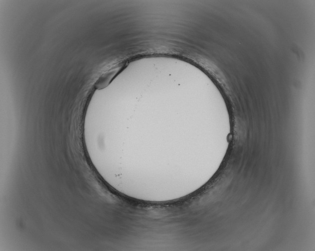 X0000113240481200910081301