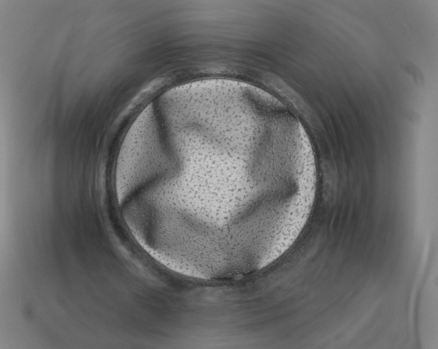 X0000113240482200910081301