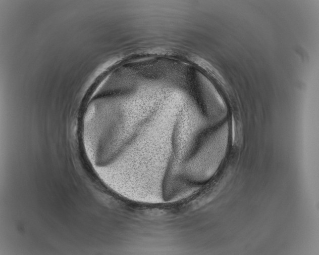 X0000113240483200910081301