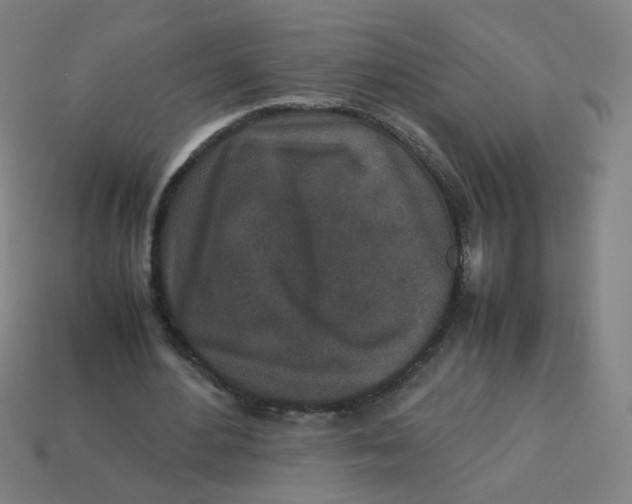 X0000113240484200910081301