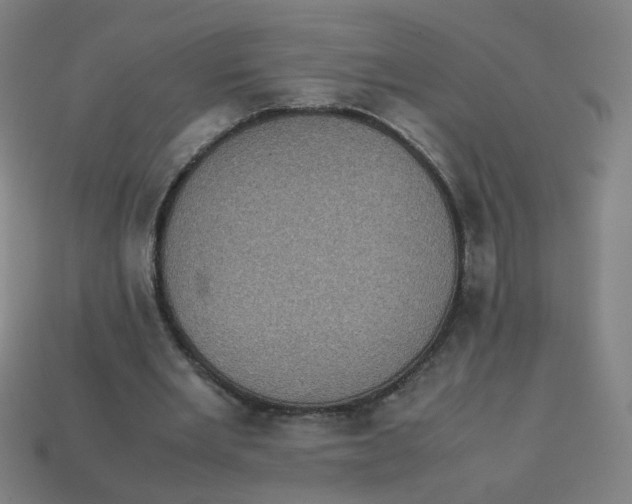 X0000113240485200910081301