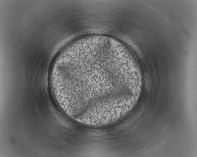 X0000113240486200910081301