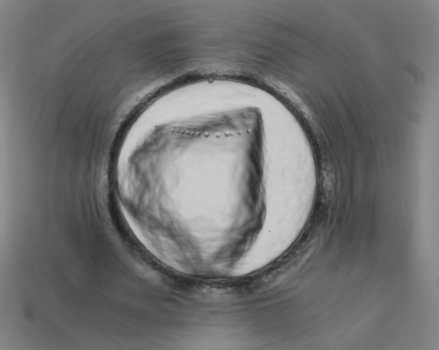 X0000113240487200910081301