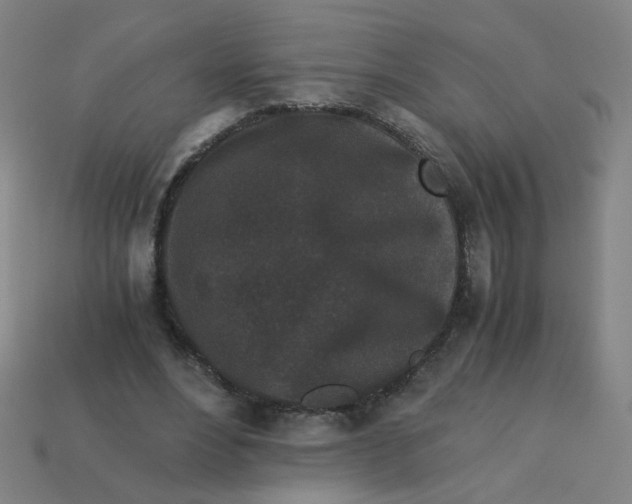 X0000113240488200910081301