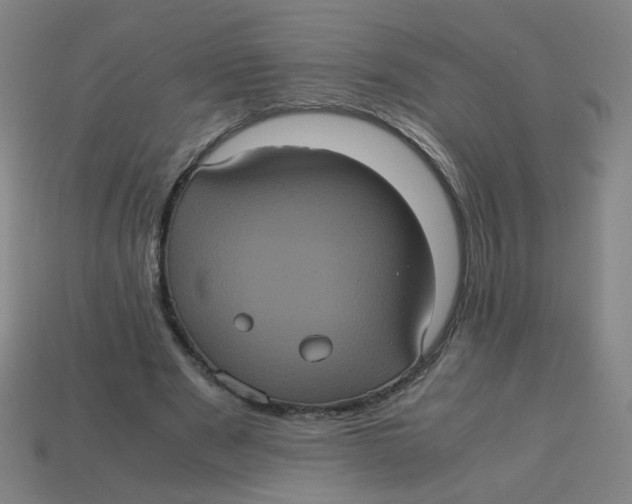 X0000113240489200910081301