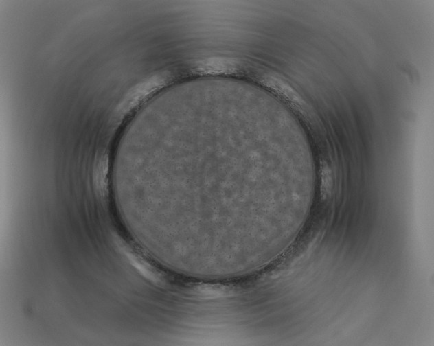 X0000113240490200910081301
