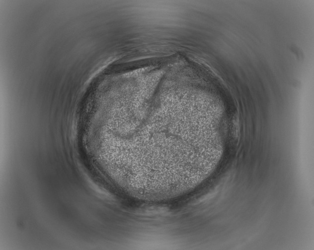 X0000113240491200910081301