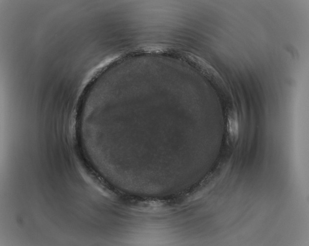 X0000113240492200910081301