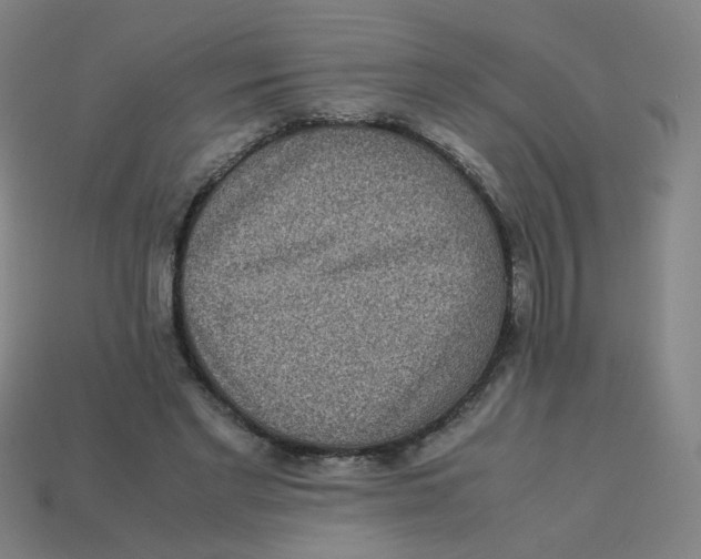 X0000113240493200910081301