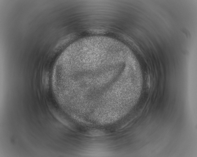 X0000113240494200910081301