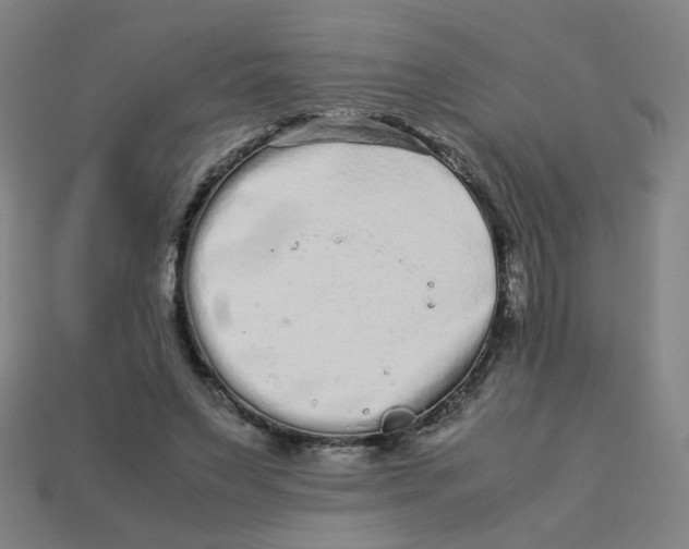 X0000113240495200910081301