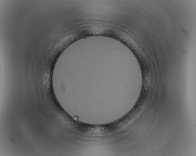 X0000113240497200910081301