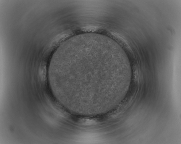 X0000113240498200910081301