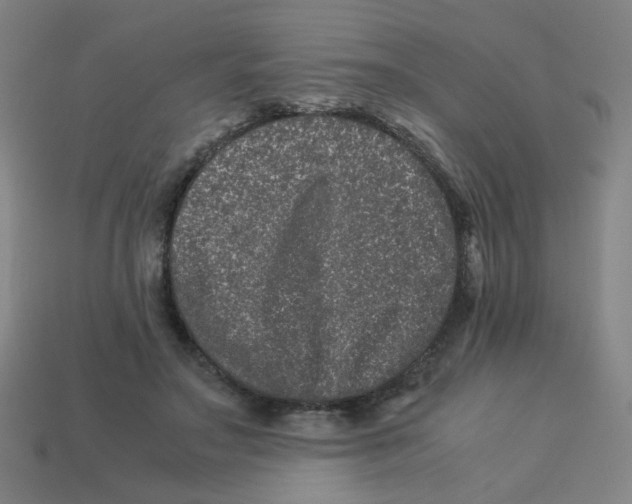 X0000113240499200910081301
