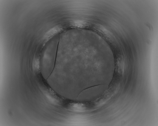 X0000113240500200910081301
