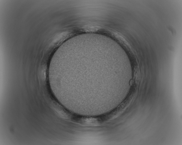 X0000113240501200910081301