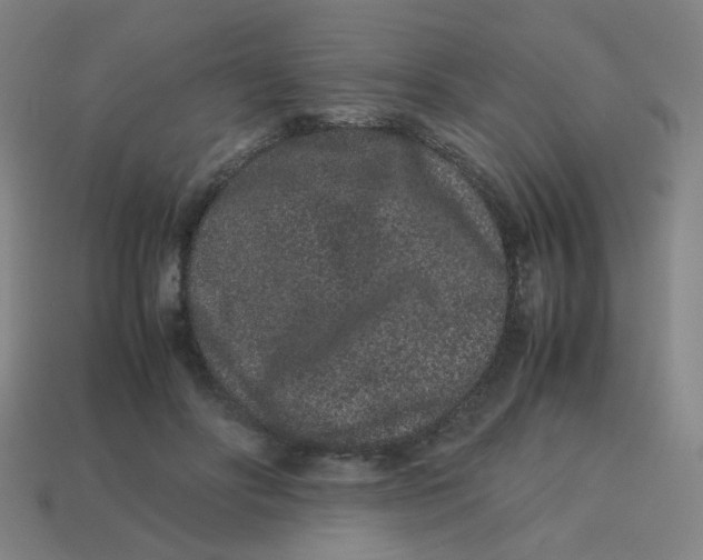 X0000113240502200910081301