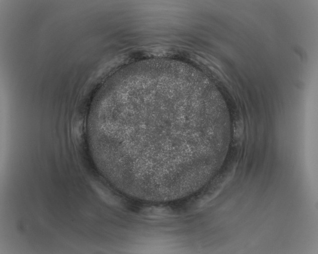 X0000113240503200910081301